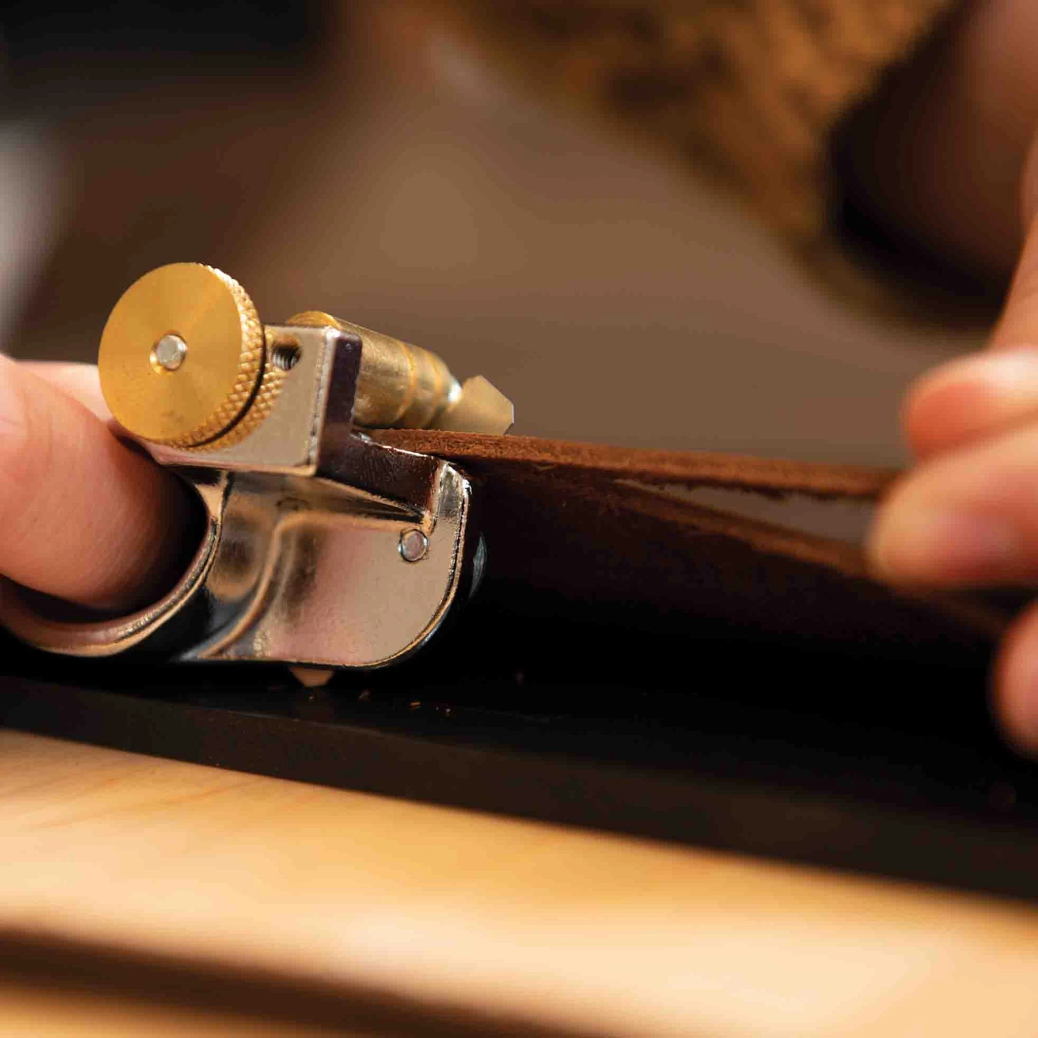 Lace Strander - Image 3