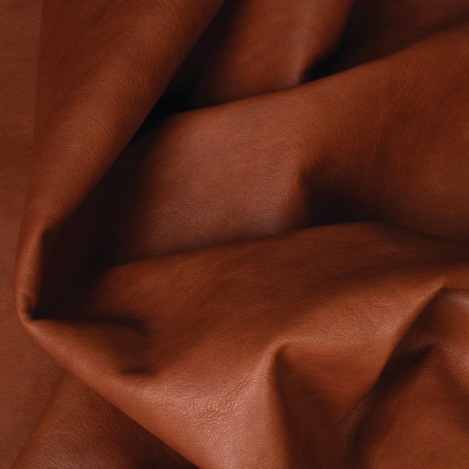 Hermann Oak® Heritage 1881 Top Grain Leather, 4 To 5 Oz. - Image 3