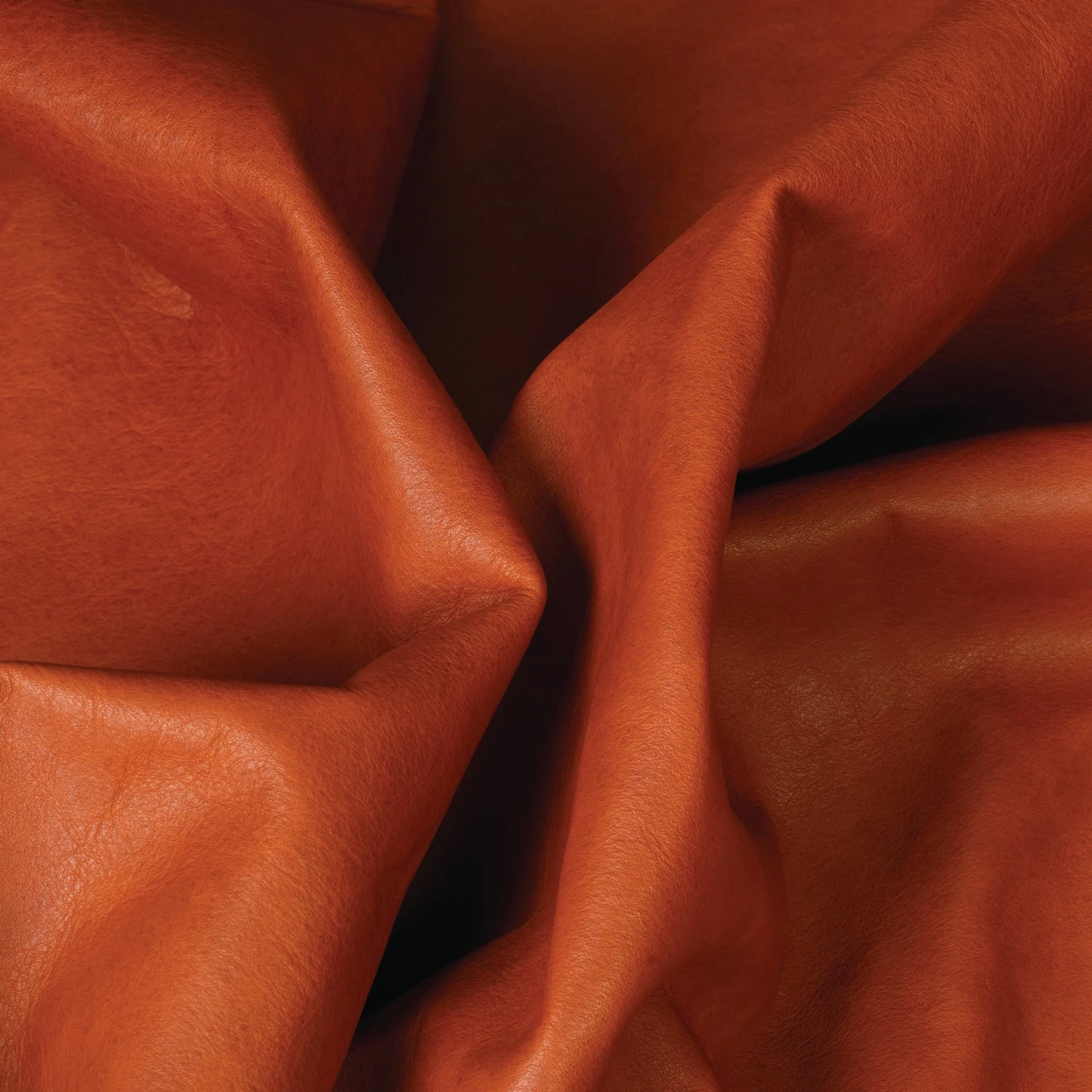 Hermann Oak® Heritage 1881 Top Grain Leather, 4 To 5 Oz. - Image 15