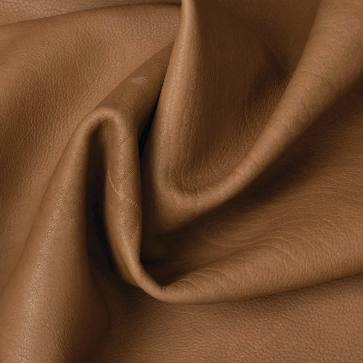 Italian Double Shoulders, 4 To 5 Oz. - Image 11