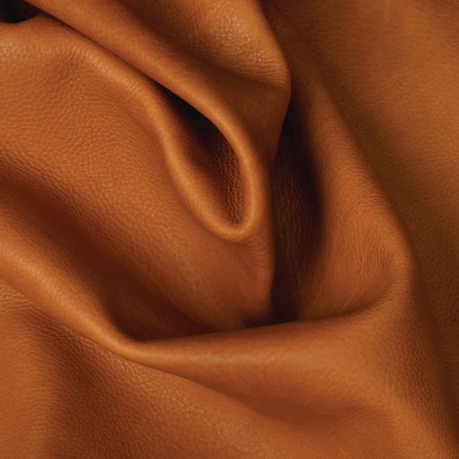 Italian Double Shoulders, 4 To 5 Oz. - Image 13