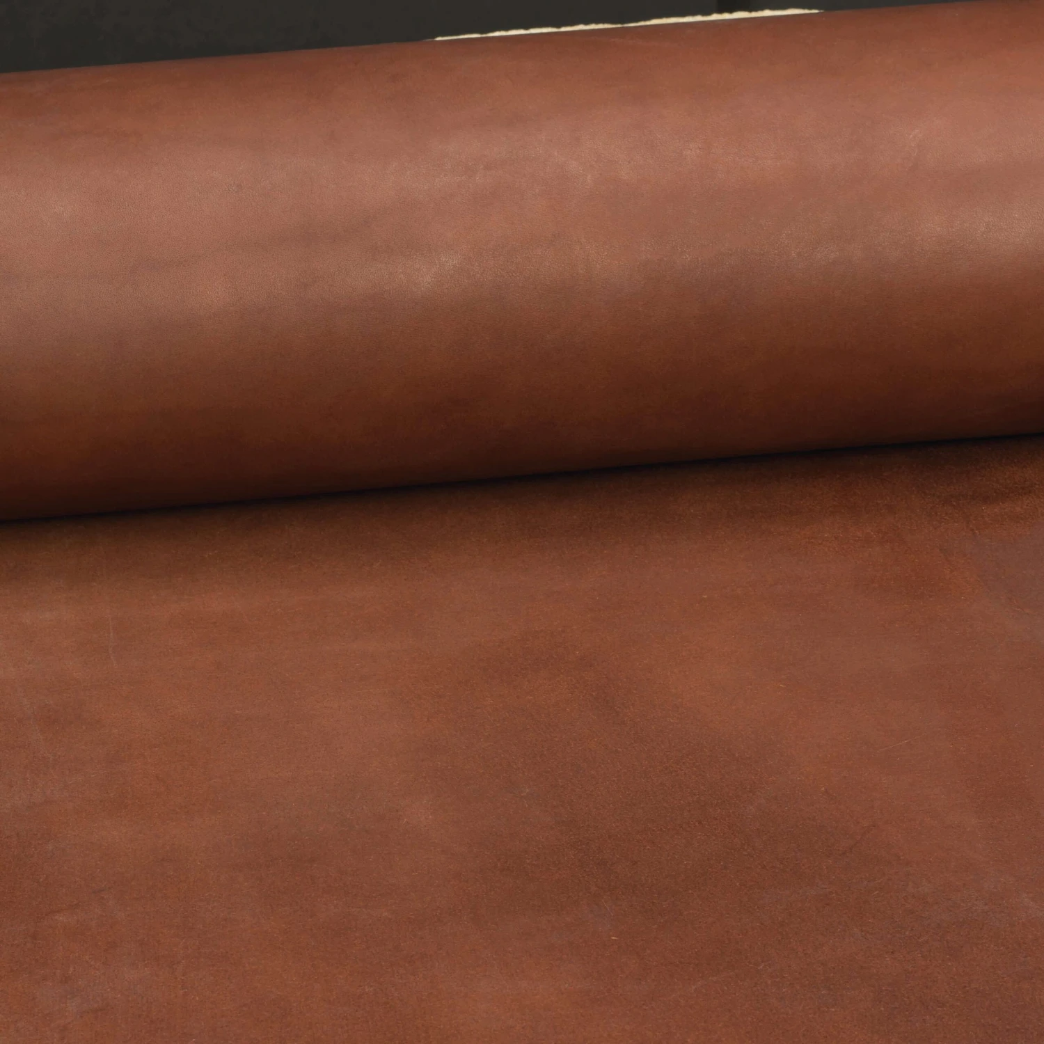 CHAHINLEATHER® English Bridle Double Bends - Image 5