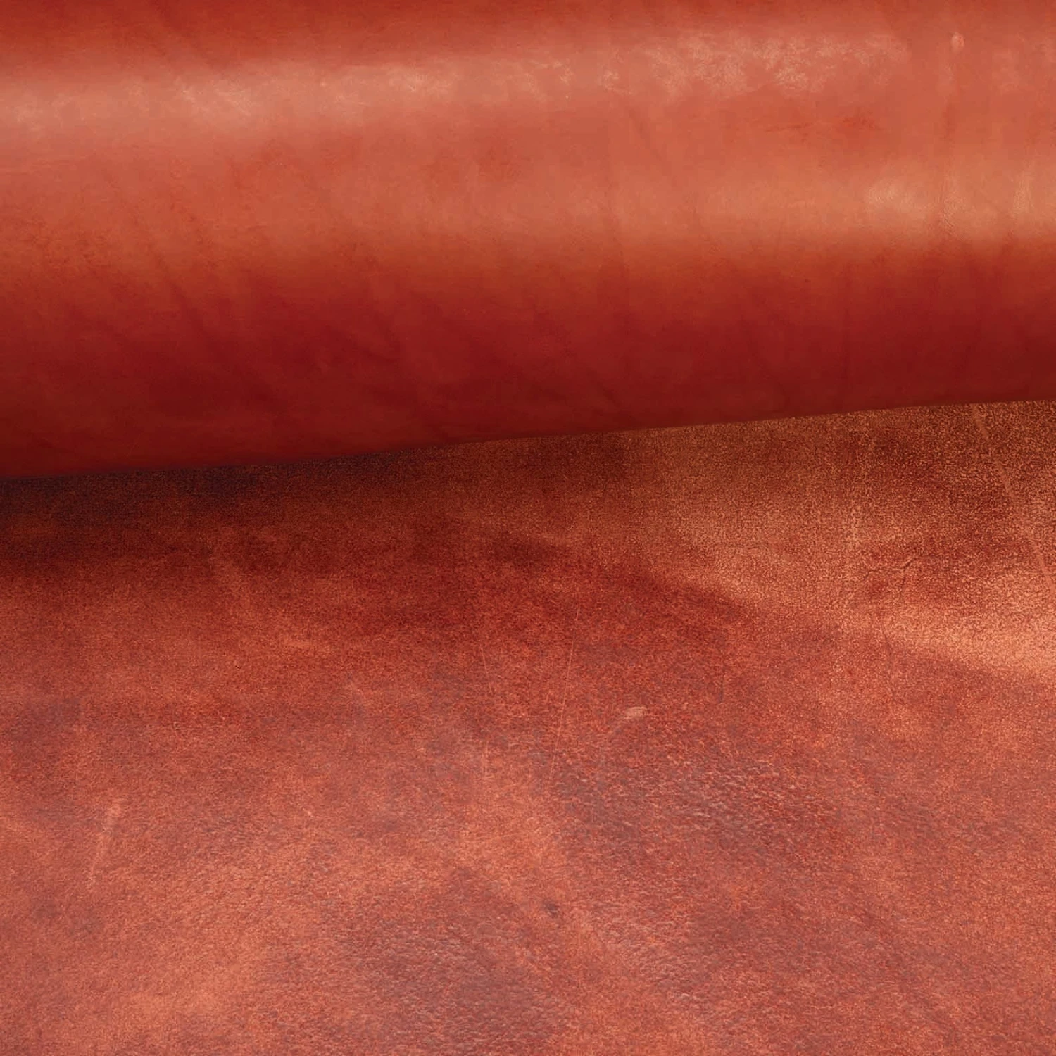 CHAHINLEATHER® English Bridle Leather, Double Shoulders - Image 8