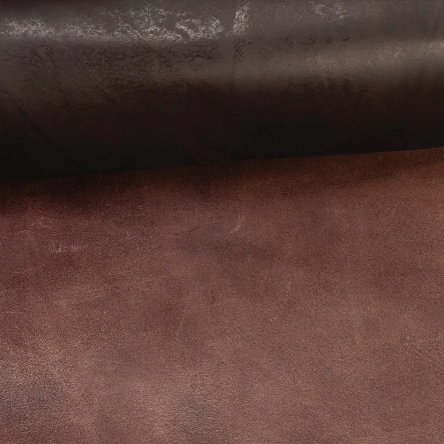 CHAHINLEATHER® English Bridle Leather, Double Shoulders - Image 10