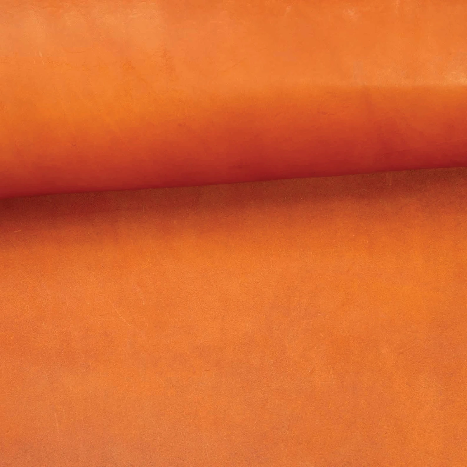 CHAHINLEATHER® English Bridle Leather, Double Shoulders - Image 12