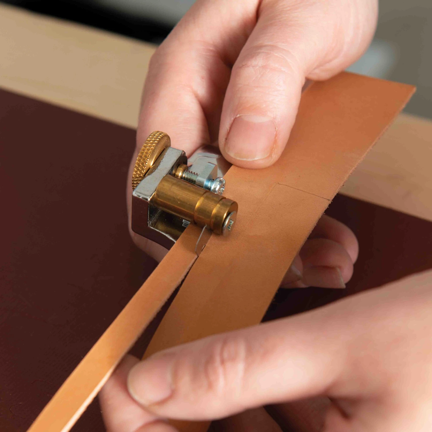 Lace Strander - Image 5