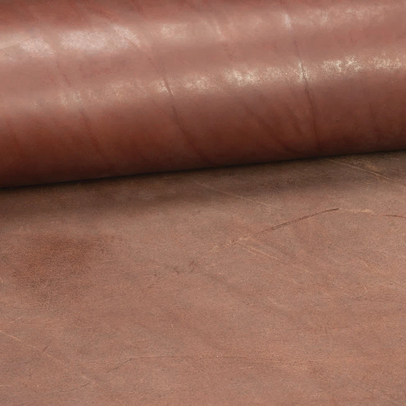 CHAHINLEATHER® English Bridle Leather, Double Shoulders - Image 14