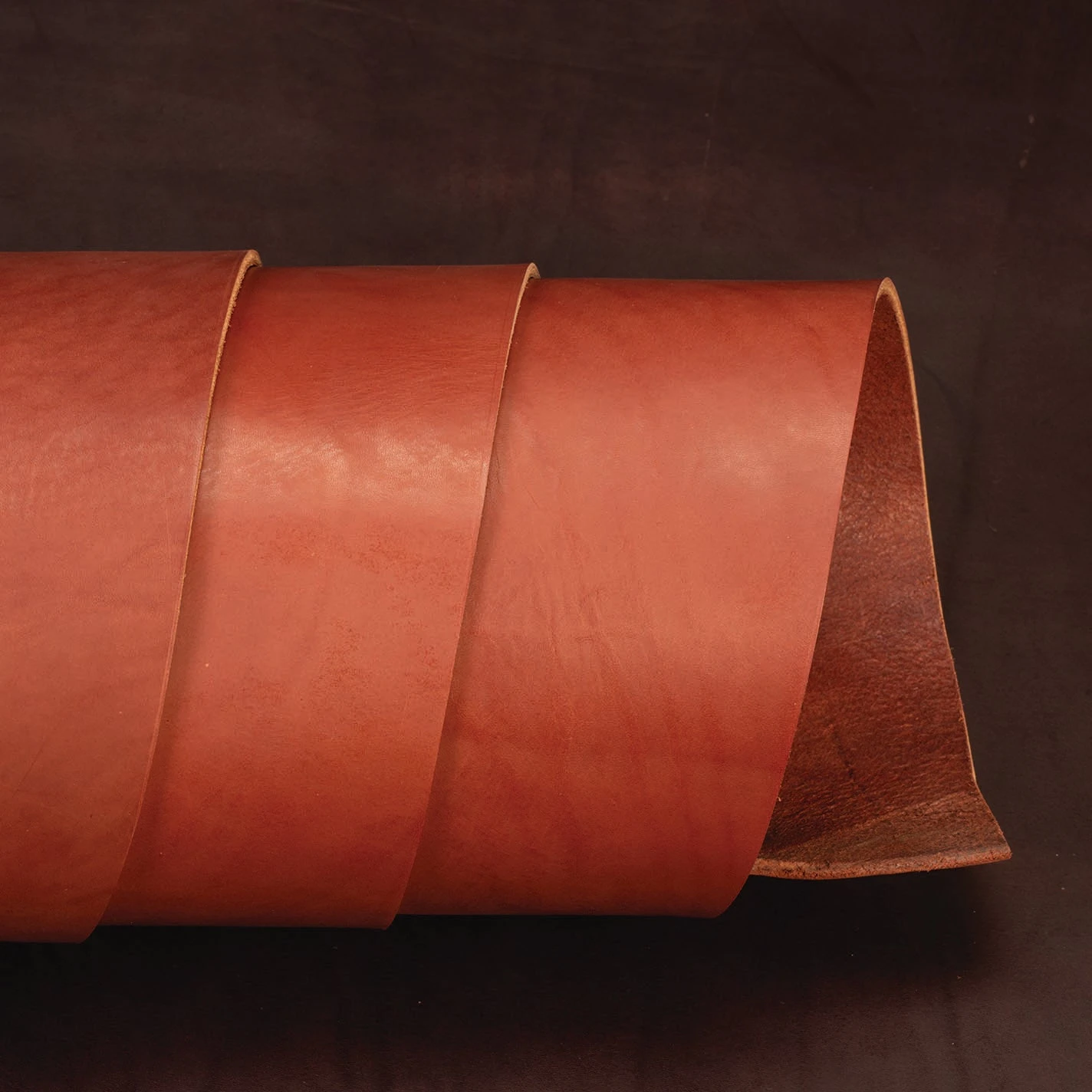 CHAHINLEATHER® English Bridle Leather, Double Shoulders - Image 2