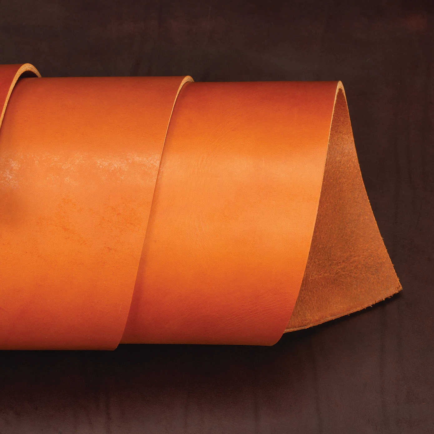 CHAHINLEATHER® English Bridle Leather, Double Shoulders - Image 4